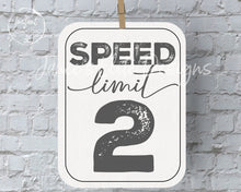 Load image into Gallery viewer, Two Fast Birthday Speed Limit 2 Sign