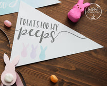 Load image into Gallery viewer, Treats For My Peeps Easter Pennant Flag